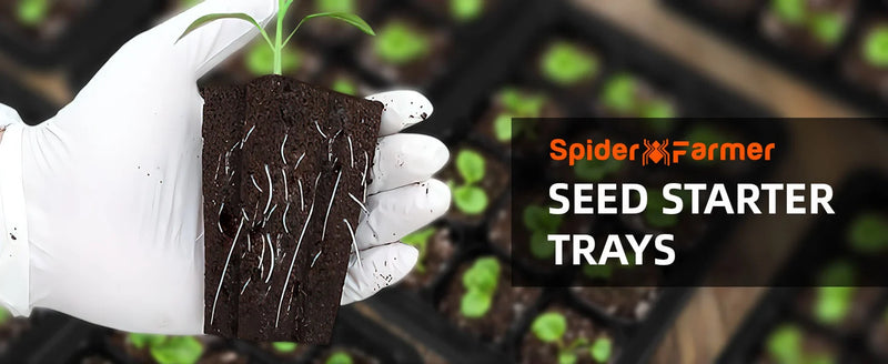 Spider Farmer Mini Gewächshaus | 4-Pack