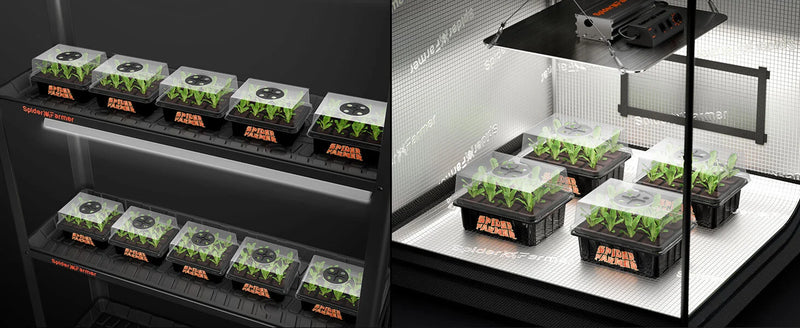 Spider Farmer Mini Gewächshaus | 4-Pack