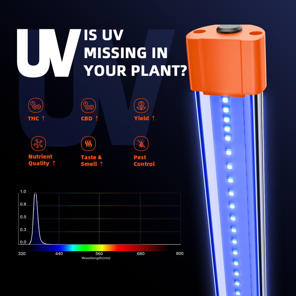 Nahaufnahme-UV-Dioden-365nm-Spider-Farmer-UV60-Zusatzbeleuchtung.