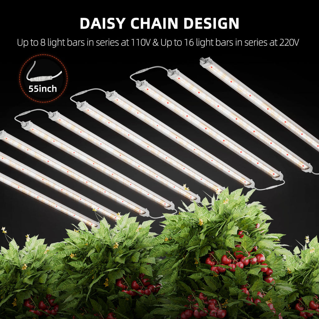 Daisy-Chain-Verbindung-mehrerer-Glow80-Lichtbalken-Schema.