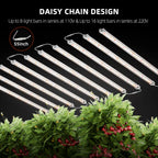 Daisy-Chain-Verbindung-mehrerer-Glow80-Lichtbalken-Schema.