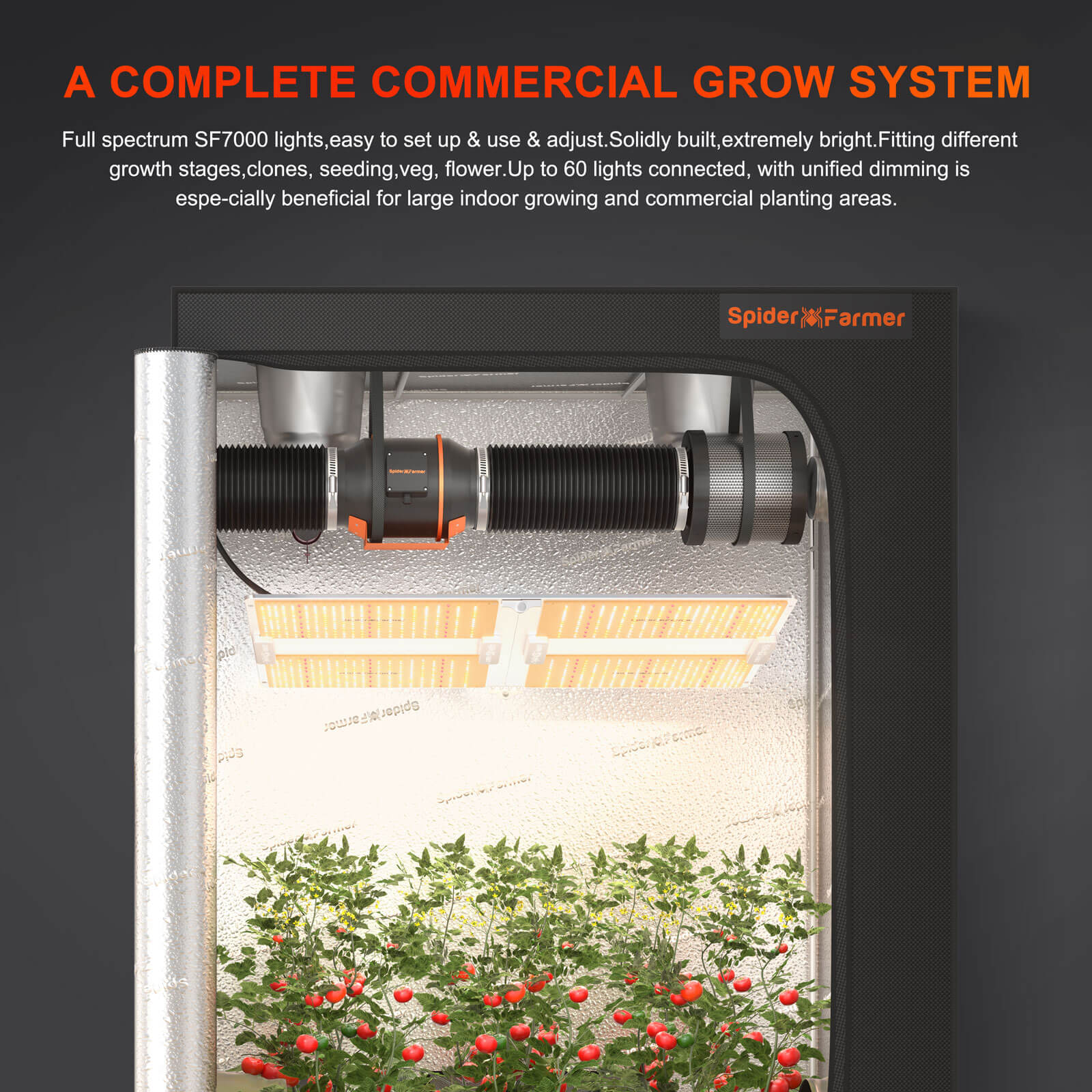 Spider Farmer SF7000 installiert in einem 150x150 cm Growzelt.