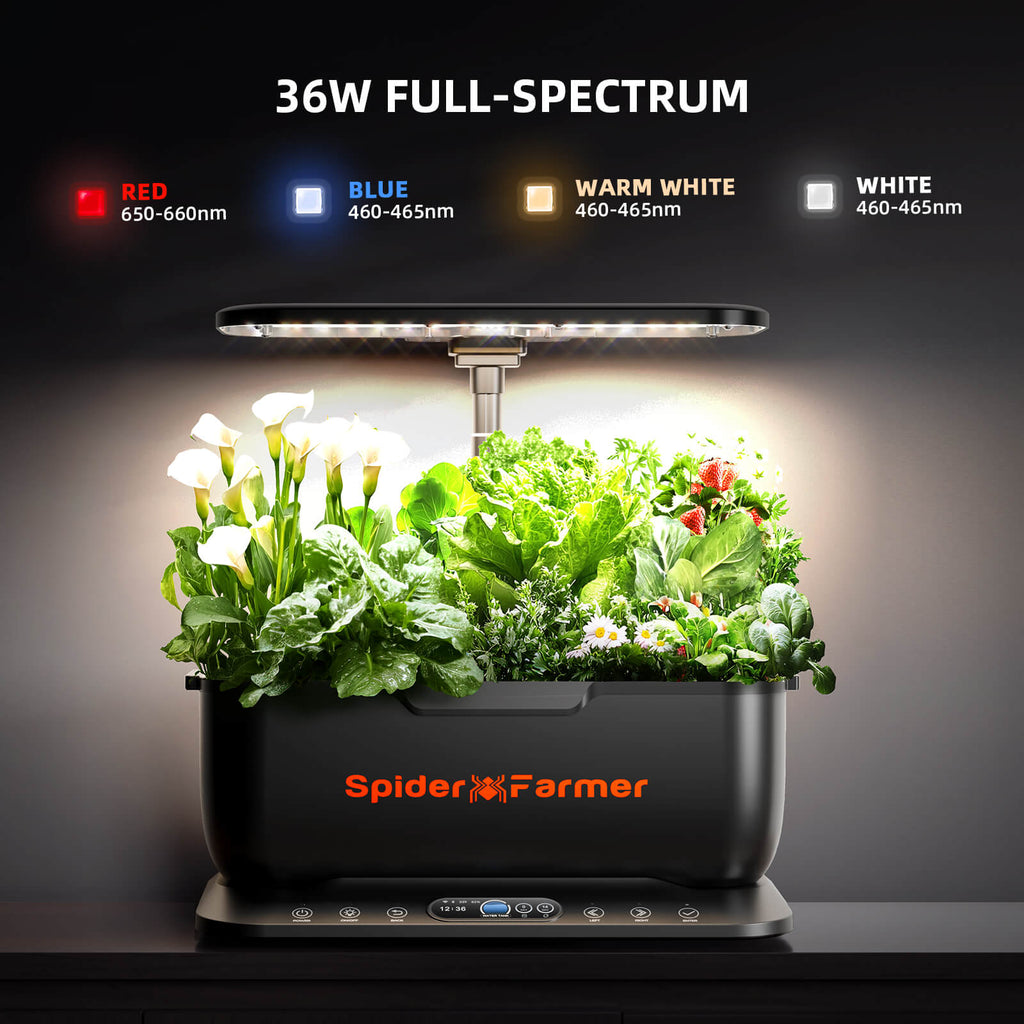 Hydroponic grow system by Spider Farmer in black with 36 W LED plant lamp and app and WLAN control