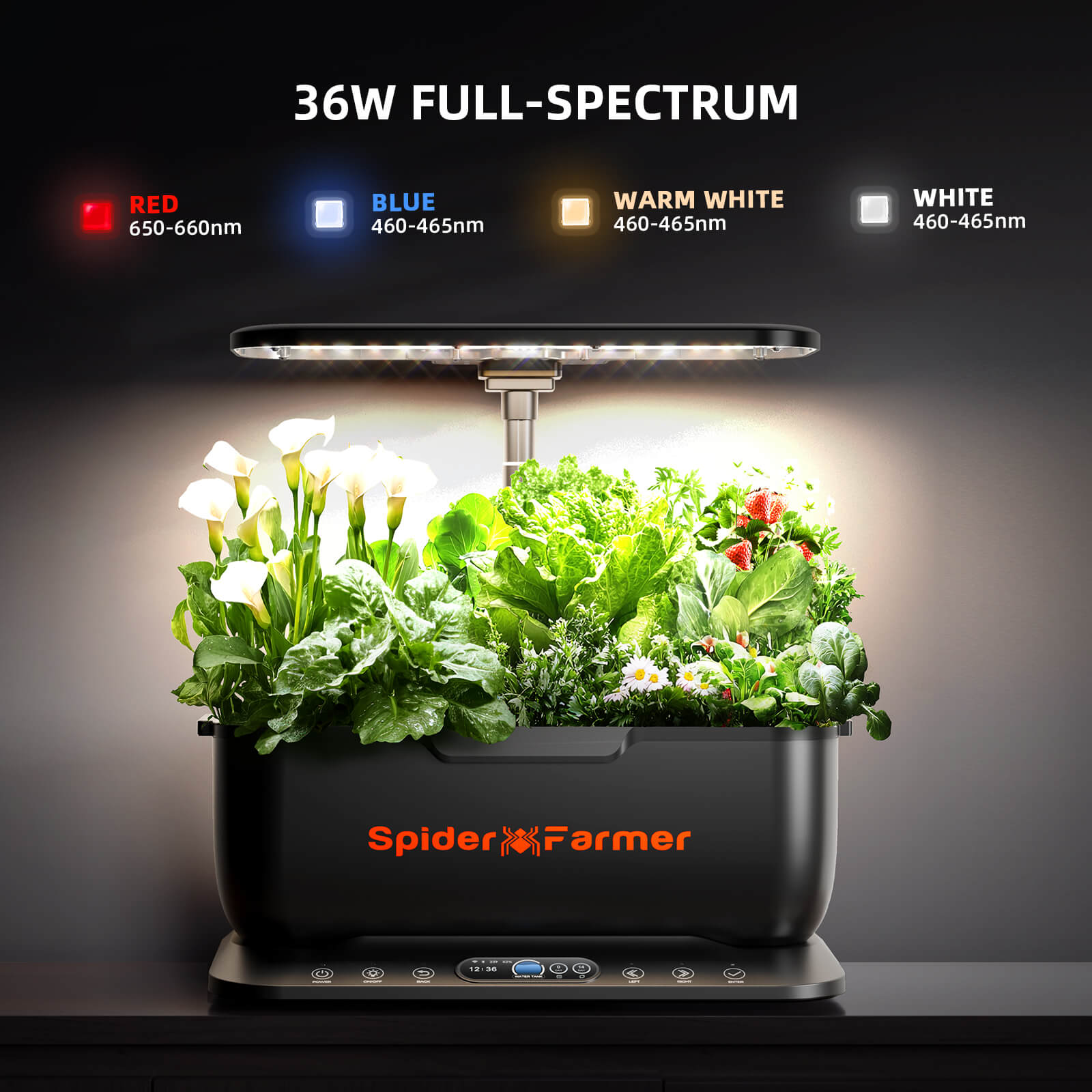 Hydroponic grow system by Spider Farmer in black with 36 W LED plant lamp and app and WLAN control