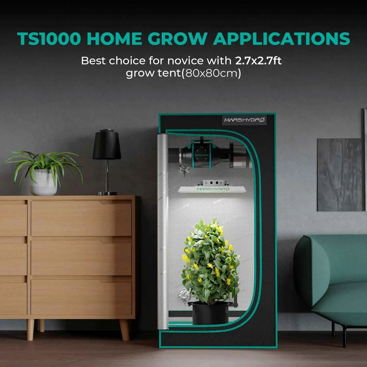 Mars Hydro TS1000 Komplettset | 80x80x160cm Growzelt