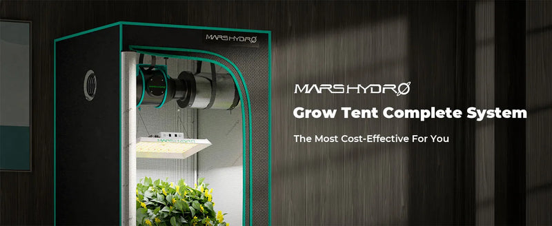 Mars Hydro TS1000 Complete Kit | 80x80x160cm Grow Tent