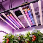 Spider-Farmer-UV30-IR16-LED-Grow-Light-Bars-Set-46W-Zusatzlicht.