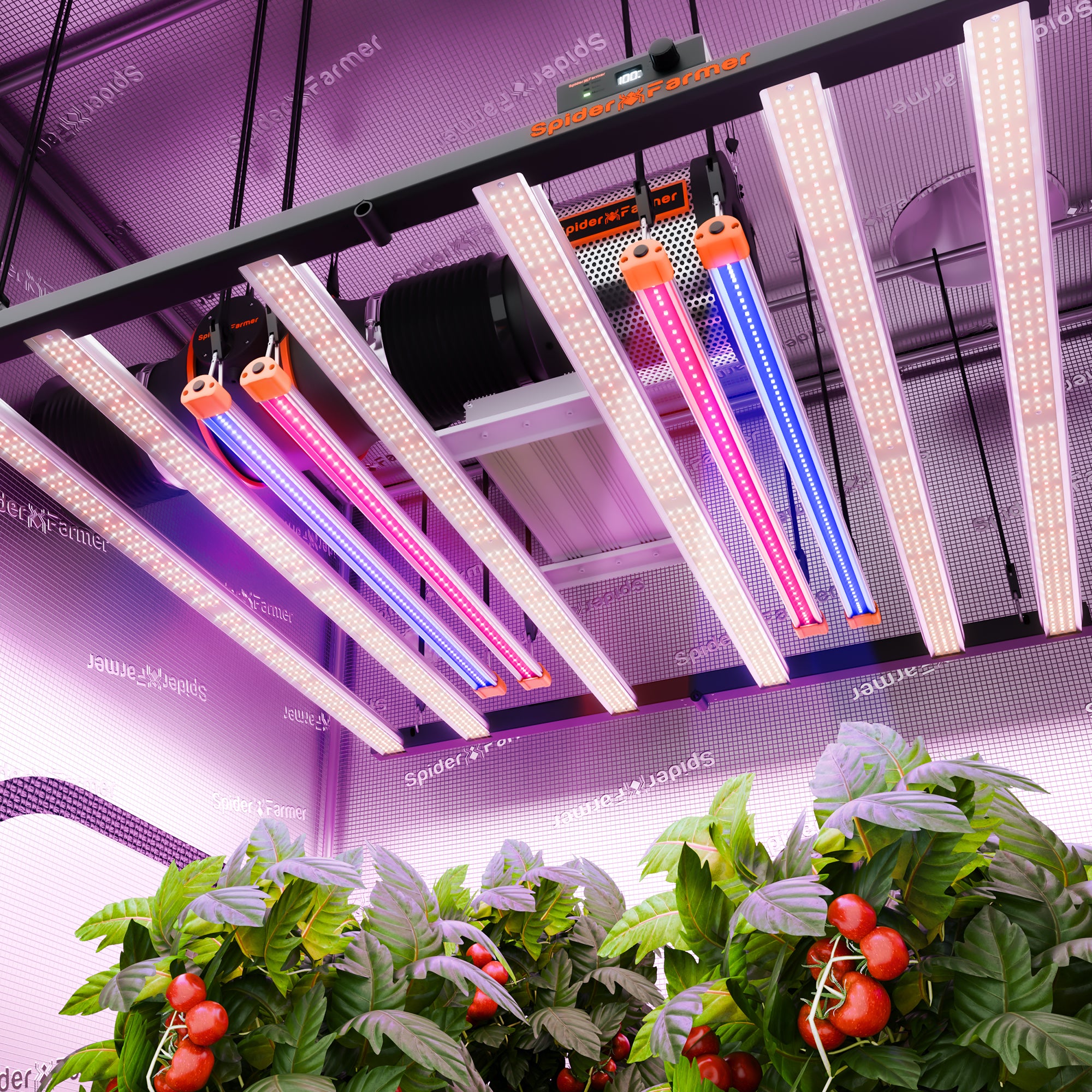 Spider-Farmer-UV30-IR16-LED-Grow-Light-Bars-Set-46W-Zusatzlicht.