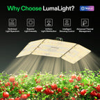 Vivosun LumaLight LED - 200W - Eacygrow