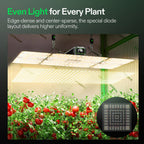 Vivosun LumaLight LED - 200W - Eacygrow
