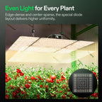 Vivosun LumaLight LED - 400W - Eacygrow