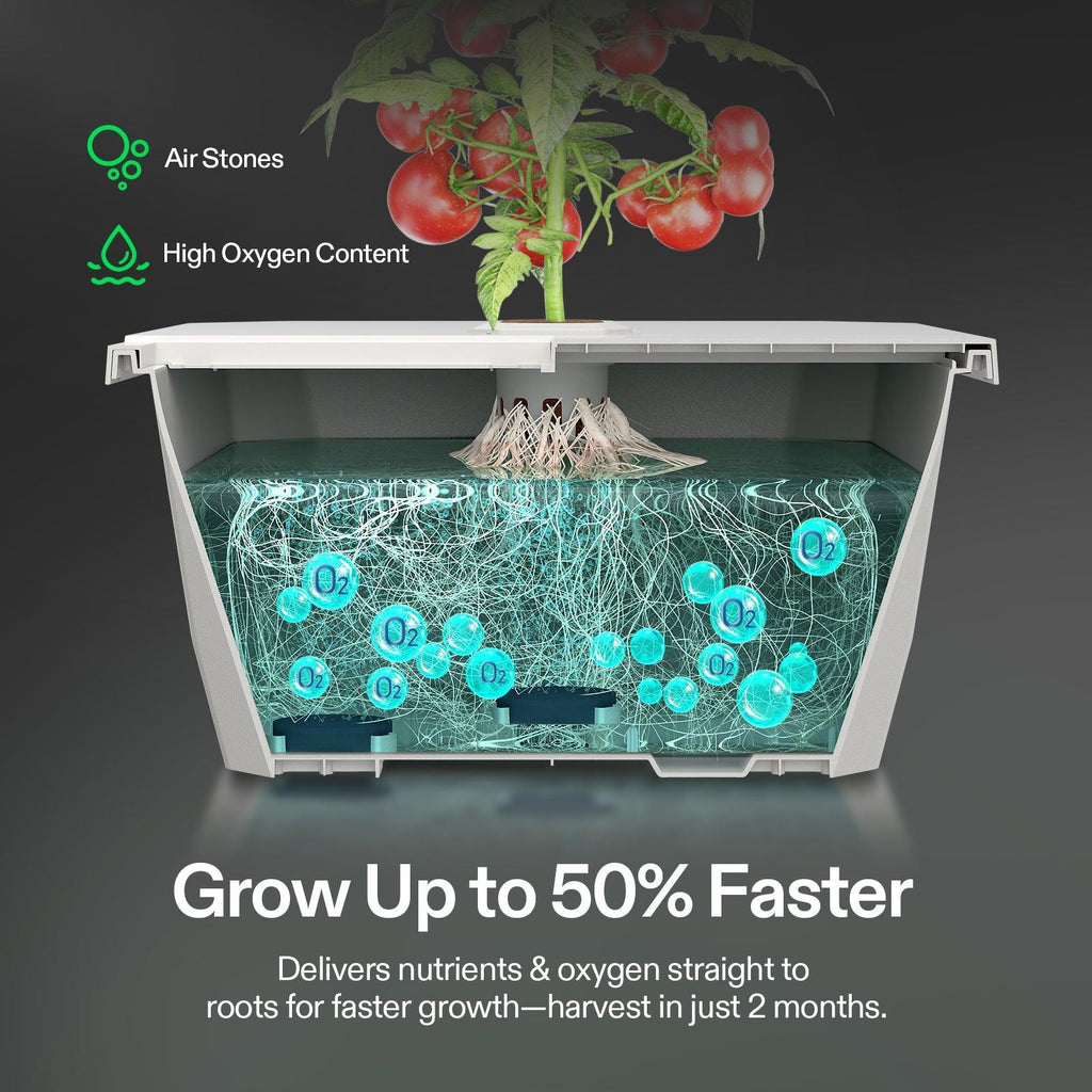 Vivosun VGrow - DWC Hydroponik-Set 15L - Eacygrow