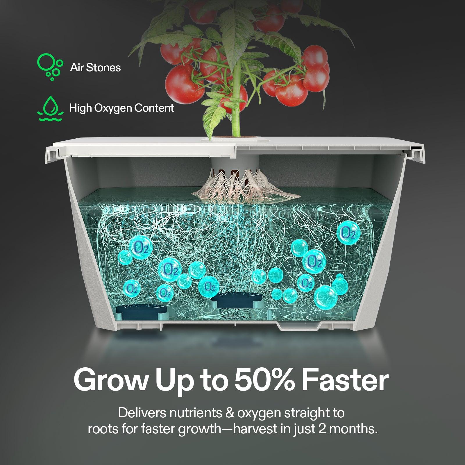 Vivosun VGrow - DWC Hydroponik-Set 15L - Eacygrow