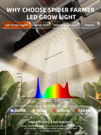 Spider Farmer SF1000 smart complete grow tent LED grow light system with full spectrum 660 nm red and IR 730 nm