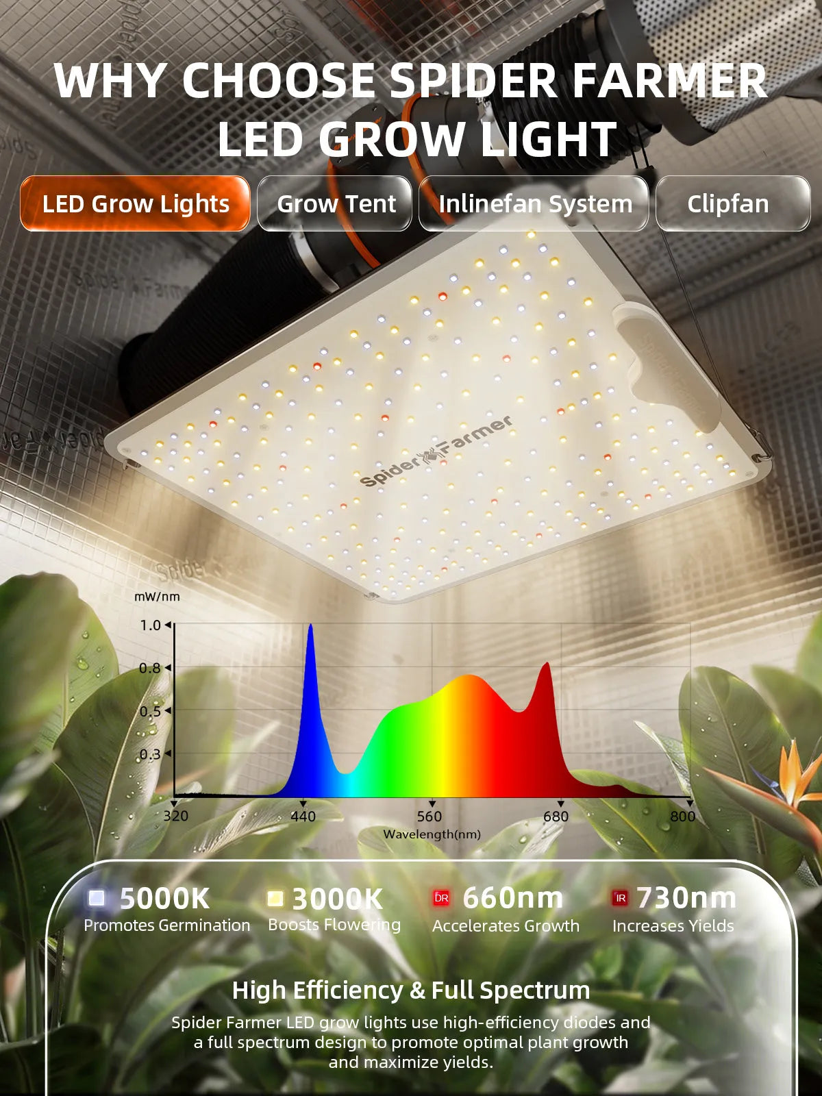 Spider Farmer SF1000 smart complete grow tent LED grow light system with full spectrum 660 nm red and IR 730 nm
