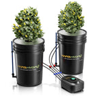 Mars Hydro 2-Eimer DWC Hydroponik-System (19 Liter) – Deep Water Culture Kit mit Luftpumpe und 8-Zoll-Körben für maximales Wurzelwachstum und hohe Erträge.