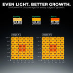Mars Hydro FC1500 Komplettset 80x80x160cm grow tent LED grow lamp in dark display with dimming levels