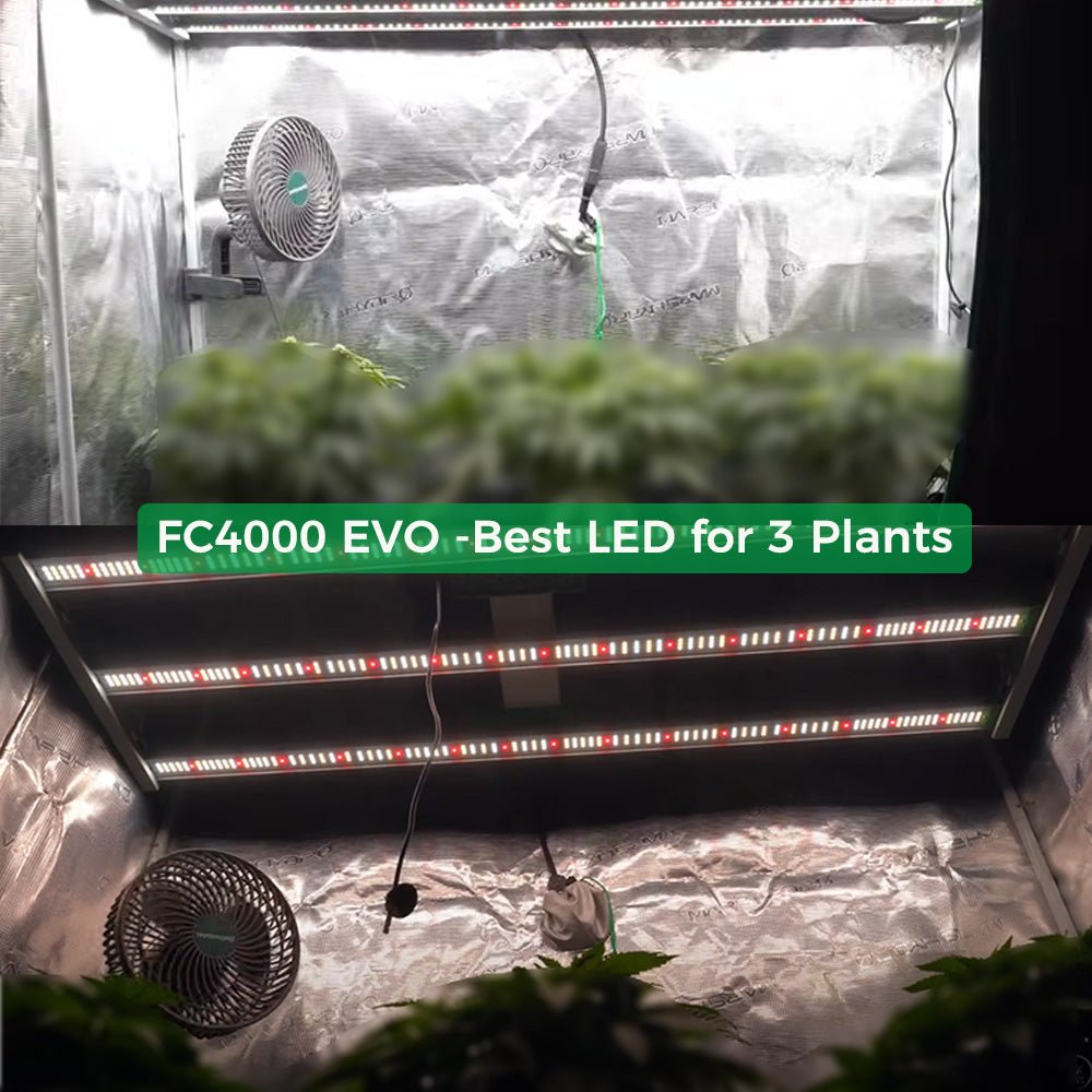 Mars Hydro FC-4000 LED grow light with Samsung LM301H EVO technology illuminating a reflective indoor garden space