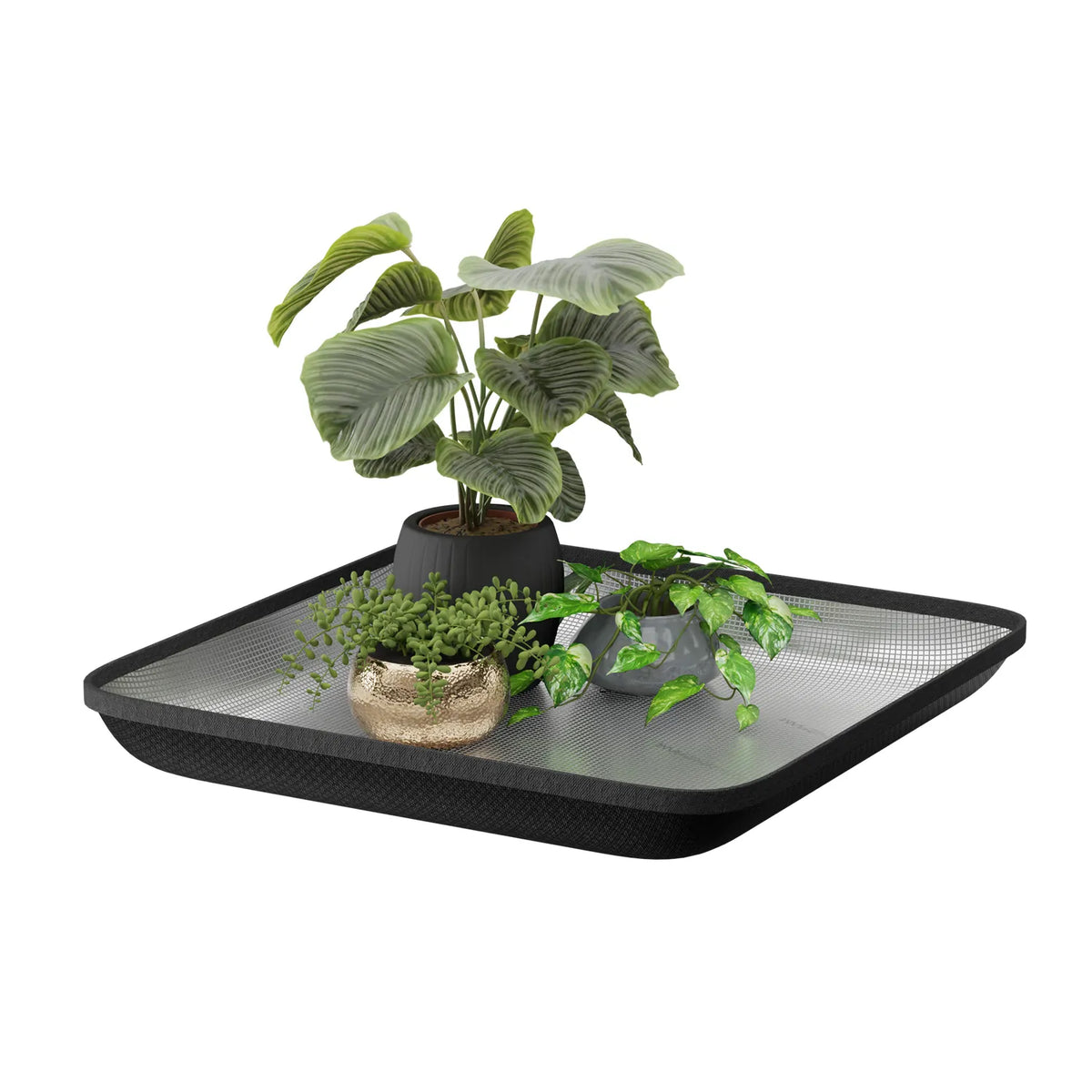 Mars Hydro Flood Tray | 100x100cm
