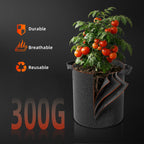 Spider Farmer G1500 Smart Complete Kit | 70x70x160cm Grow Tent