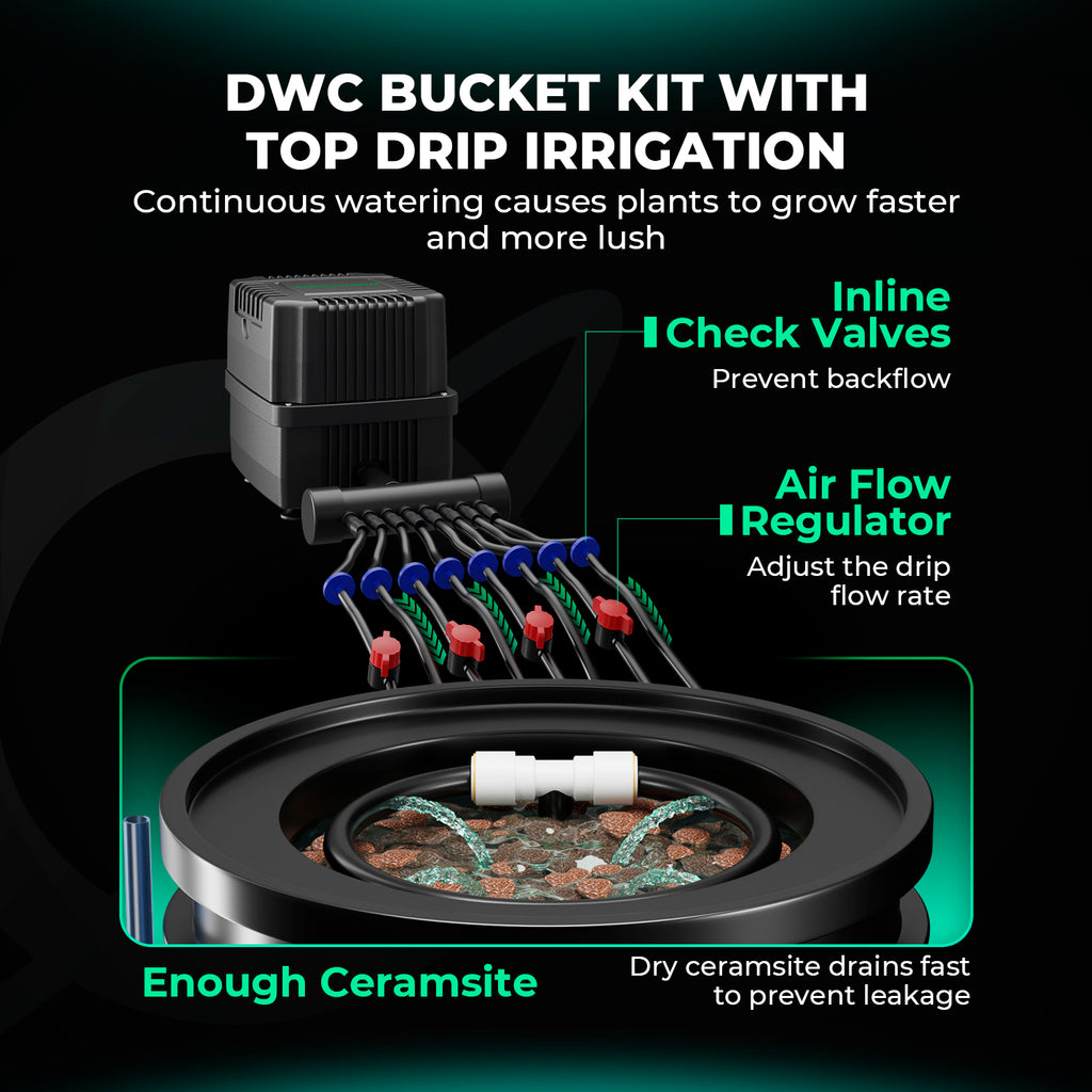 Detailaufnahme des Top-Feed-Bewässerungsrings für junge Pflanzen im DWC-System zur Unterstützung der Anzuchtphase.
