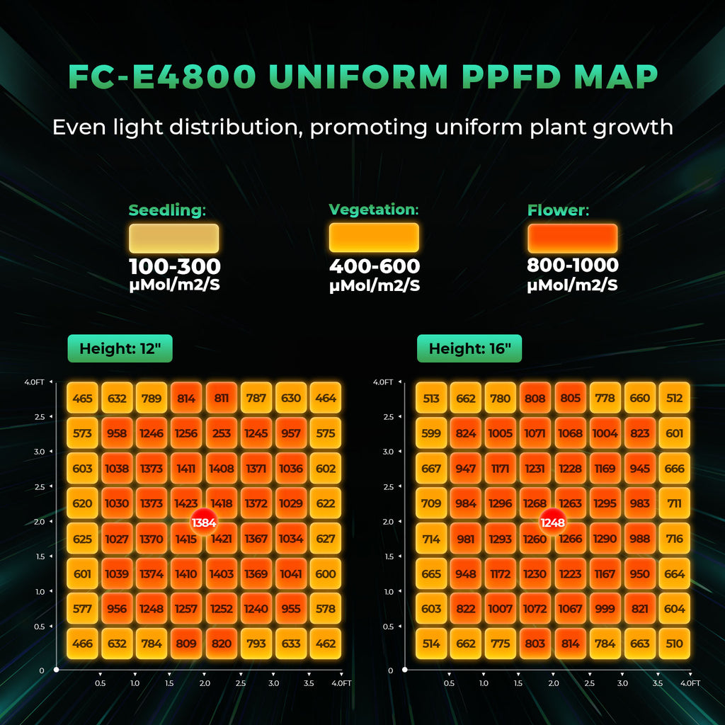 PPFD-Verteilungsgrafik der Mars Hydro FC-E4800 auf 120x120 cm Fläche
