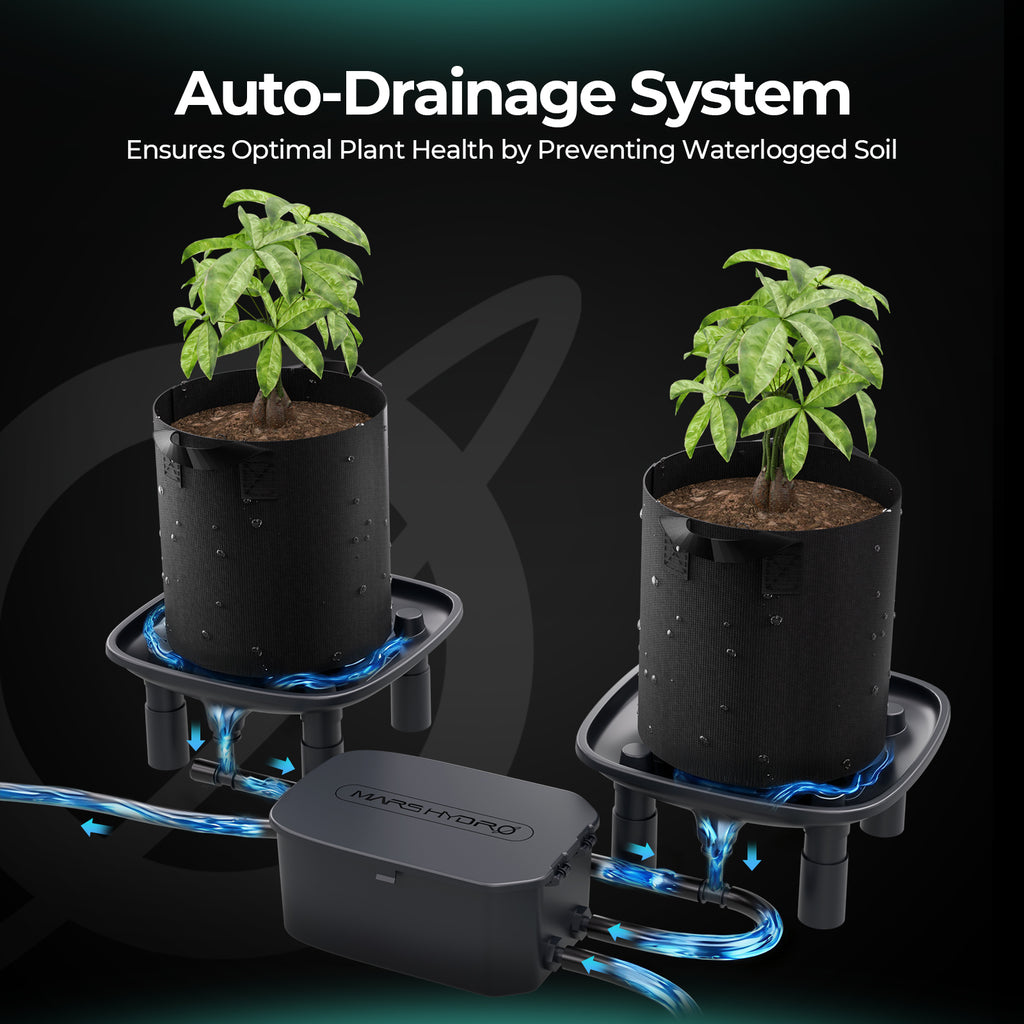 Zentrales Abpumpen von Runoff-Wasser mit der Mars Hydro Pumpe im 4er-Setup.