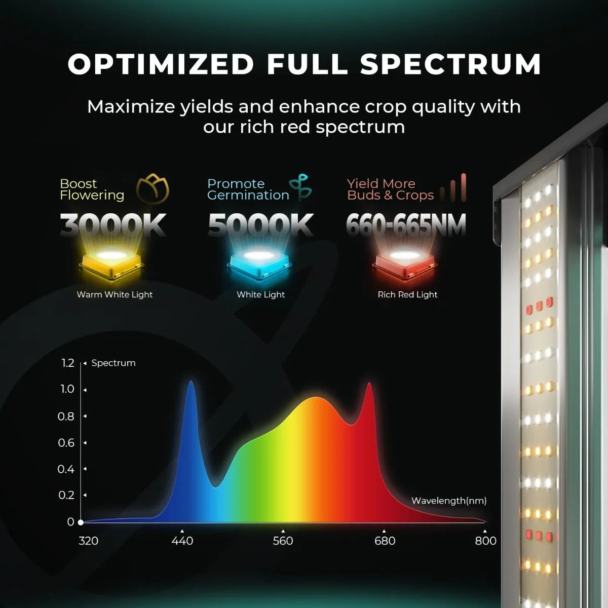 Full-spectrum LED grow light panel with white and red diodes, shown beside a color spectrum graph and flowering