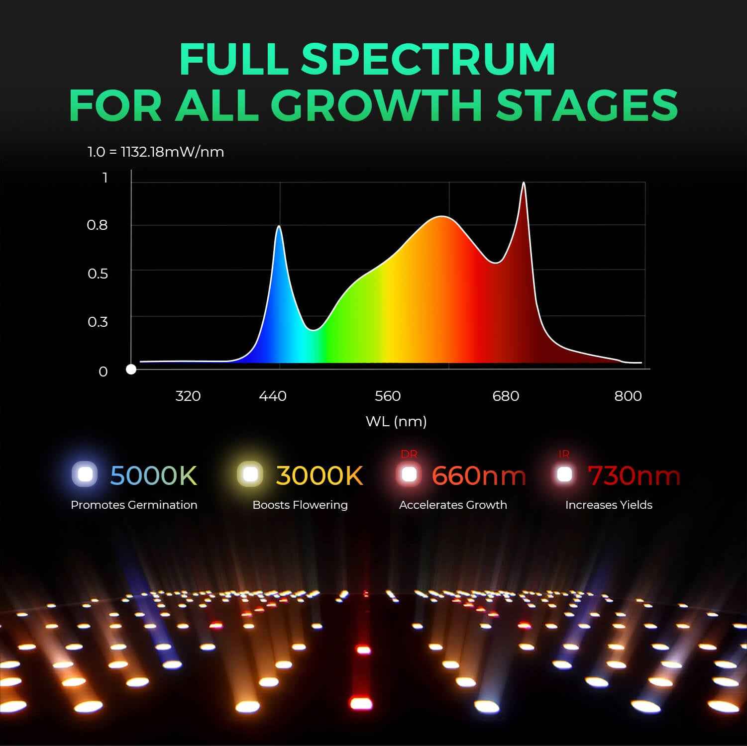Mars Hydro SP 3000 LED | 300W