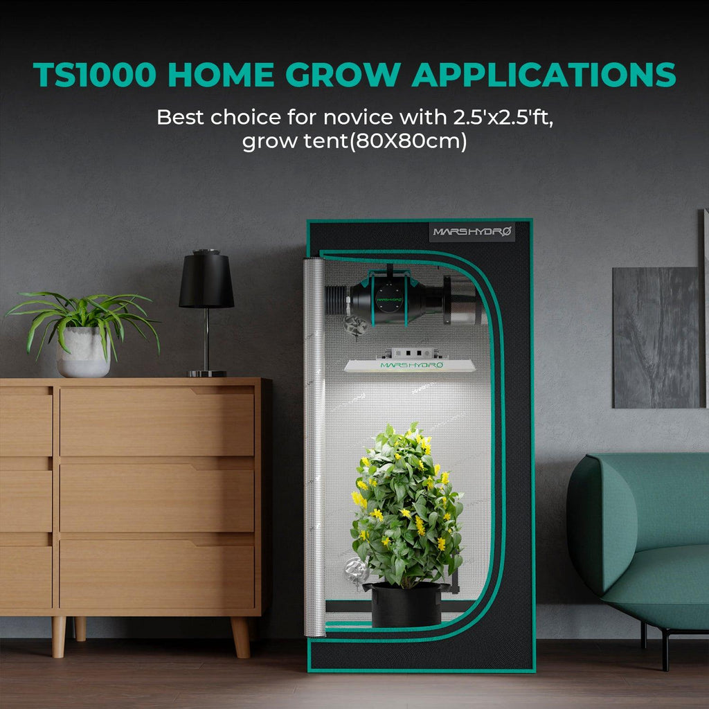 Mars Hydro TS1000 installiert in einer kompakten Grow Box