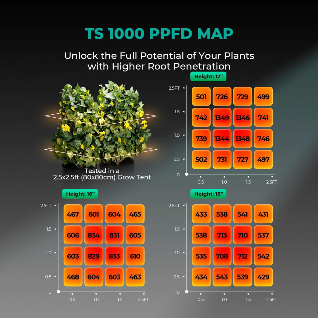 Lichtintensitäts-Grafik PPFD Werte Mars Hydro TS1000 auf 70x70 cm
