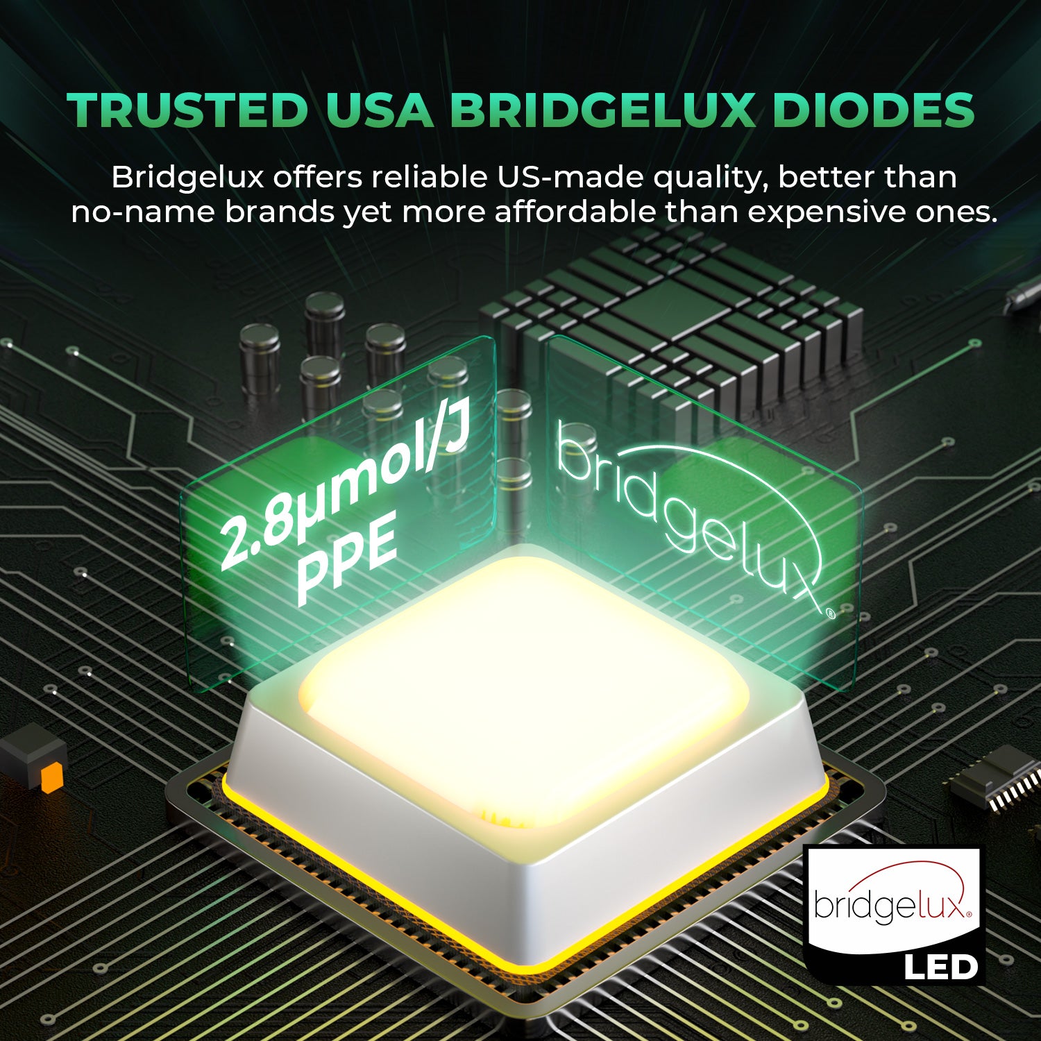 Detailaufnahme der Bridgelux LED Dioden auf der Mars Hydro FC-E1500