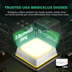 Detailaufnahme der Bridgelux LED Chips auf der Mars Hydro FC-E8000