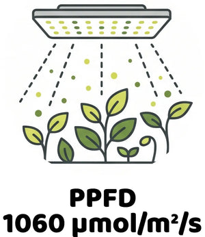 Info Icon