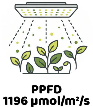 Info Icon