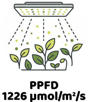 Info Icon