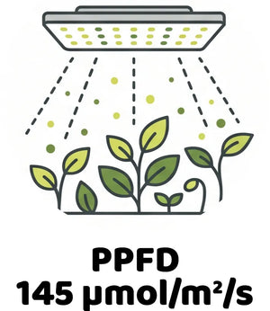 Info Icon
