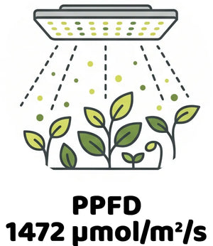 Info Icon
