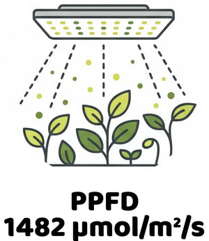 Info Icon