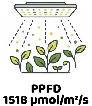 Info Icon