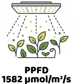 Info Icon
