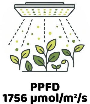 Info Icon