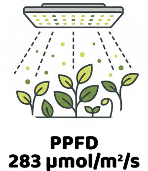 Info Icon