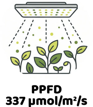 Info Icon