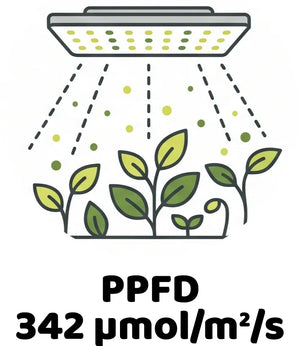 Info Icon