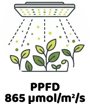 Info Icon