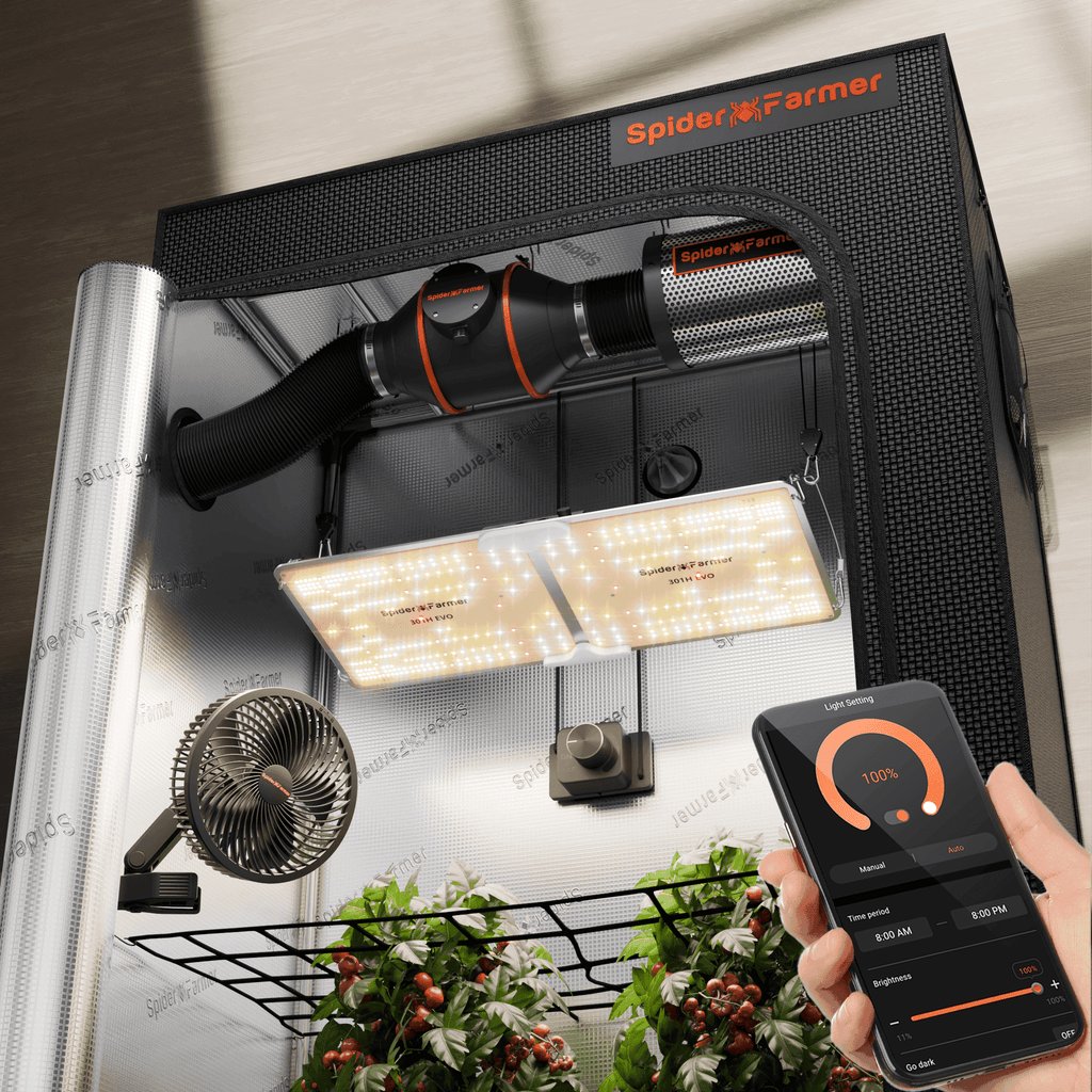 Spider Farmer SF2000-EVO grow tent with LED lights and ventilation system — designed for efficient indoor gardening.