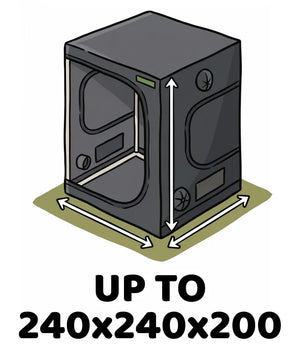 Info Icon