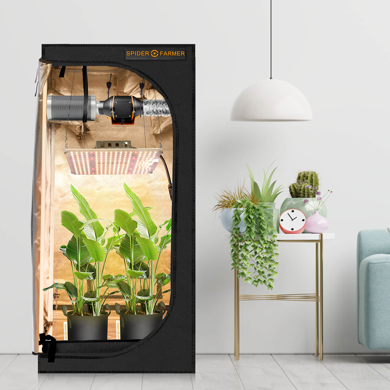 Indoor-Zelt Setup: Spider Farmer Stofftöpfe unter professioneller LED-Beleuchtung.